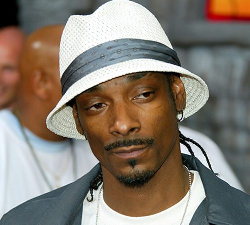 John Bostany, Bostany Law, bozlaw, Fashion Law, Music Copyright, Snoop Dogg, Gecko Trademark